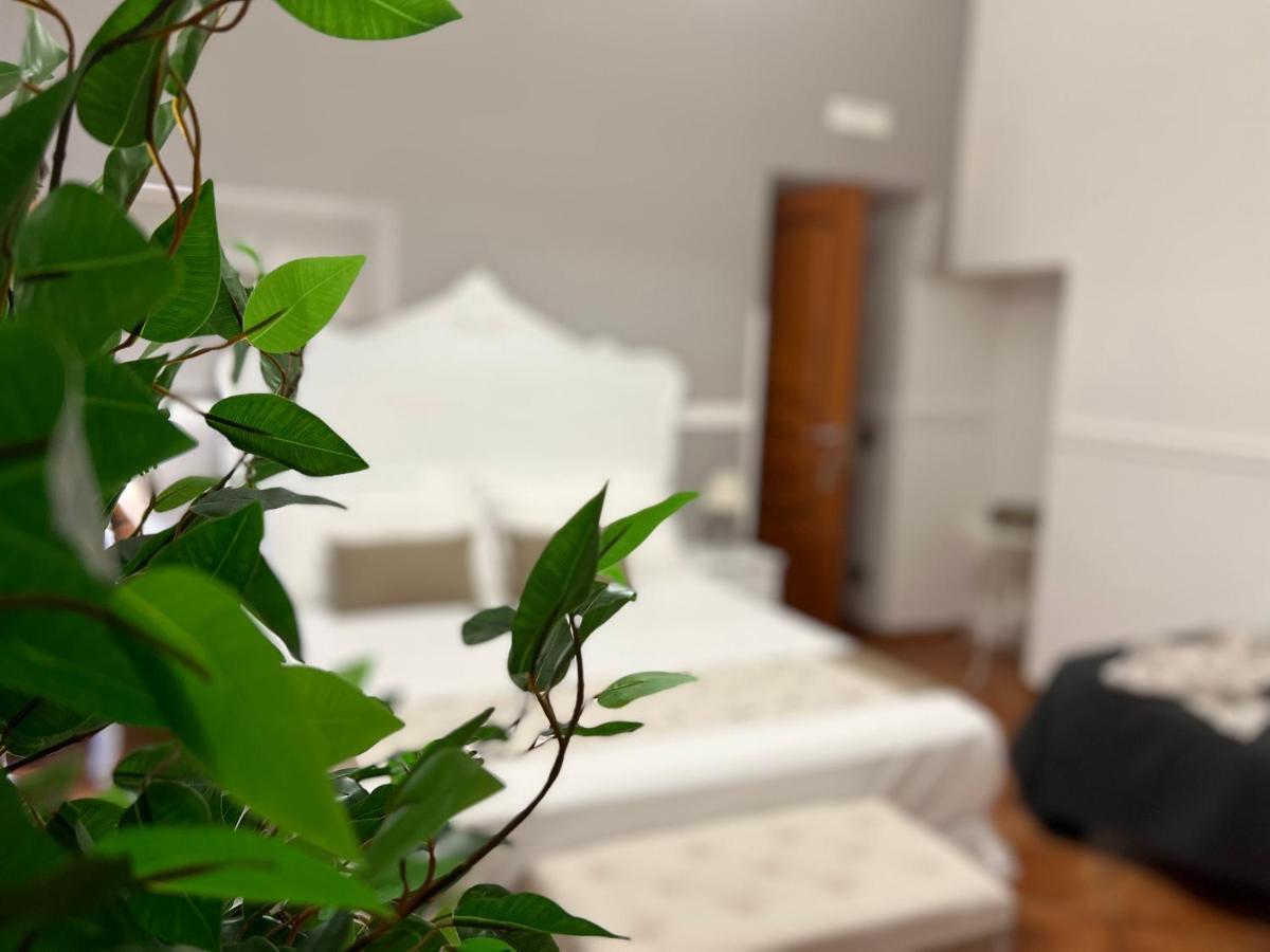 Miluar - Centro Storico - Lungo La Via Della Musica Bed and Breakfast Napoli Eksteriør billede